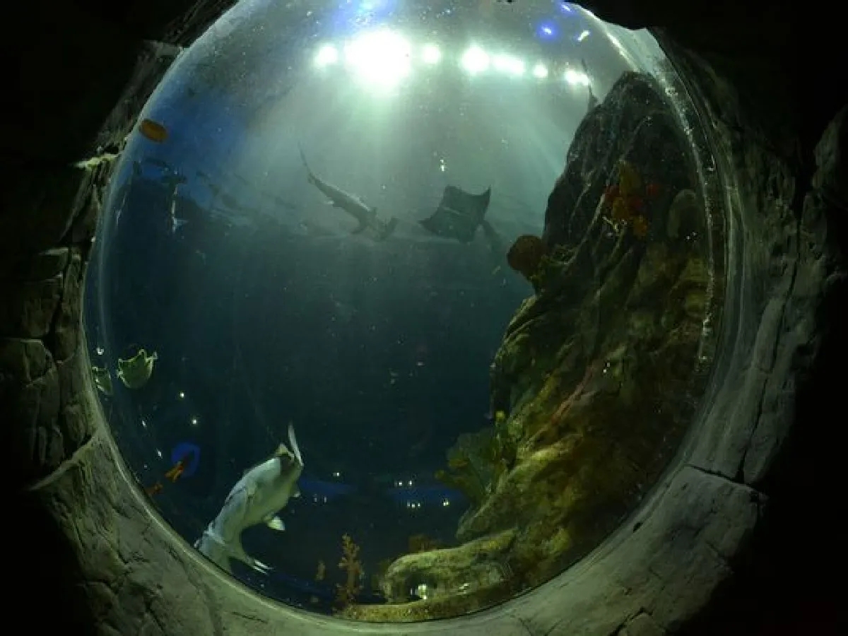 海底两万里让你印象最深刻的科幻,海底两万里科幻经典解读