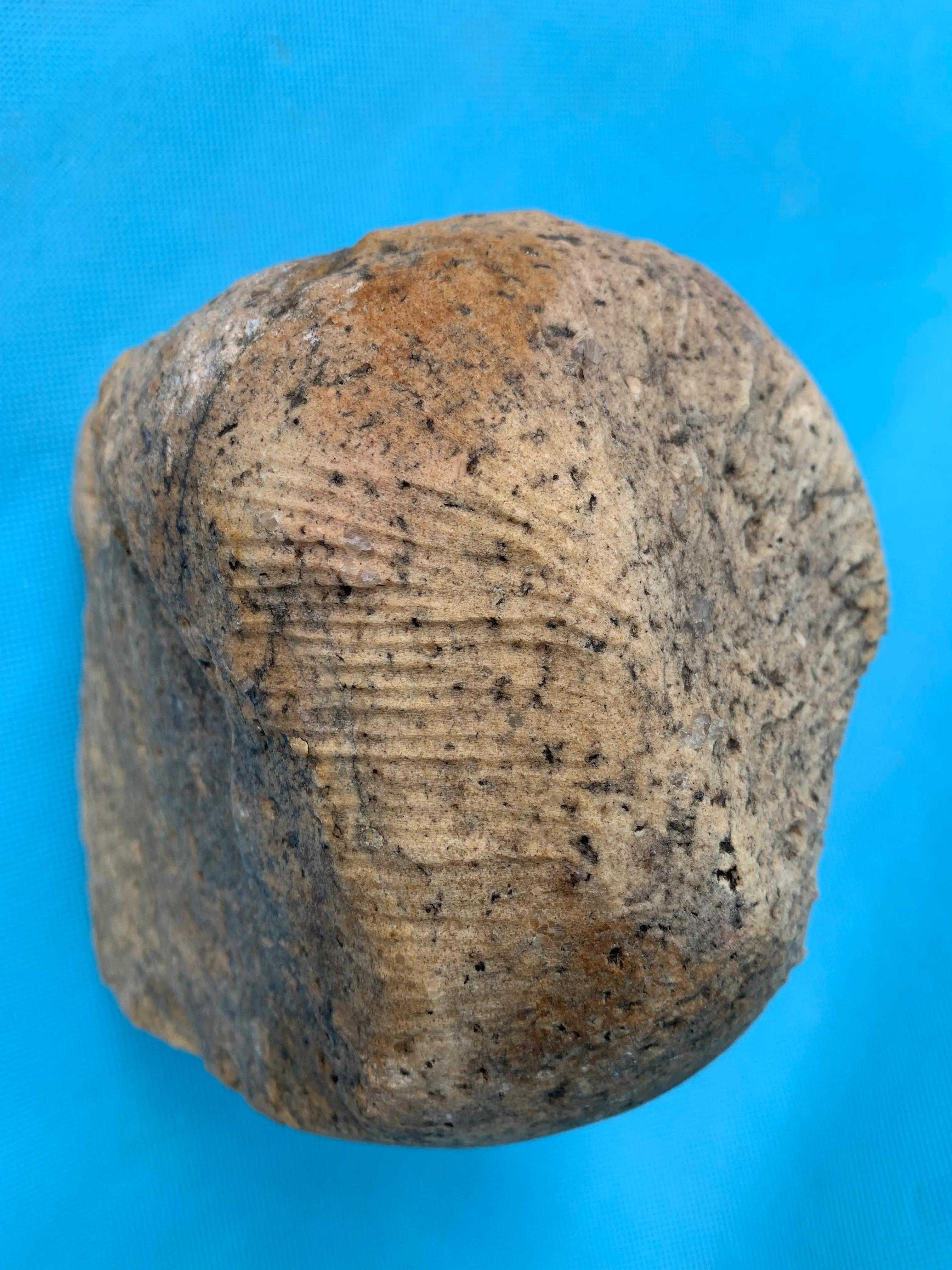 橄榄石球粒陨石和辉石球粒陨石,顽火辉石球粒陨石图片价格