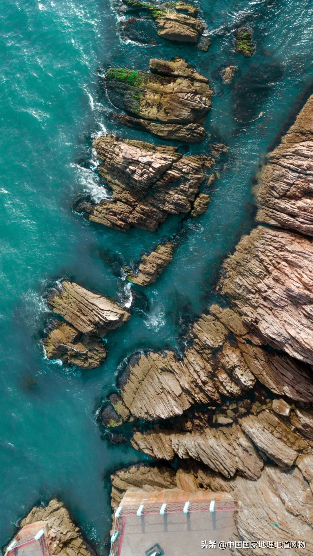 辽宁哪个地方的海鲜最好,辽宁各市都有啥海鲜