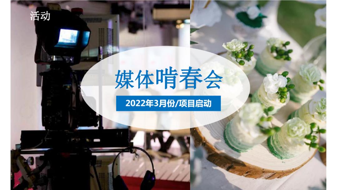 【案例】天目依云推广策略视觉提案