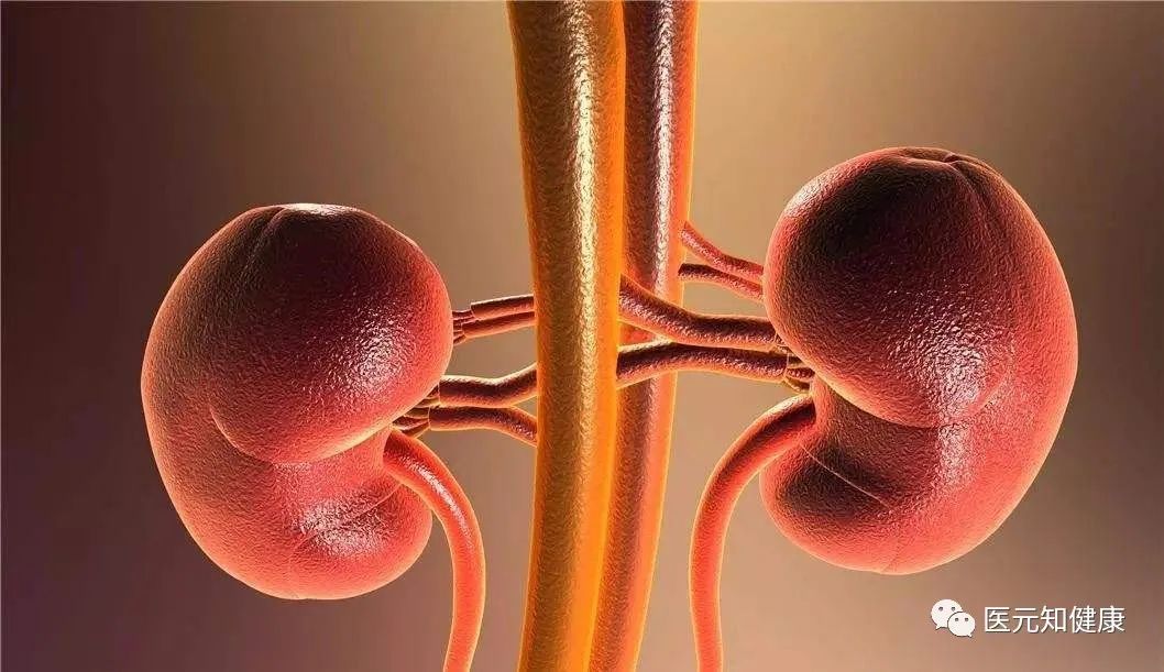 有钱吃肉没钱喝汤,有钱吃肉没钱喝粥是什么意思