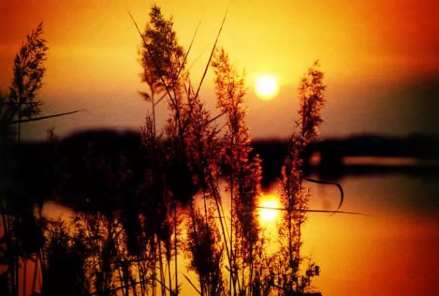 姹熷崡鐑熼洦姘翠埂椋庢櫙,娆ｈ祻缇庝附姘翠埂椋庢櫙