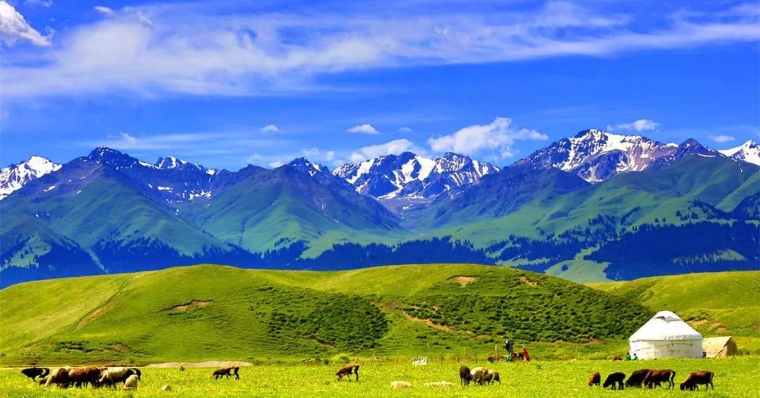 火了！新源又火了！全国瞩目，未来发展不可估量！为你的家乡比心