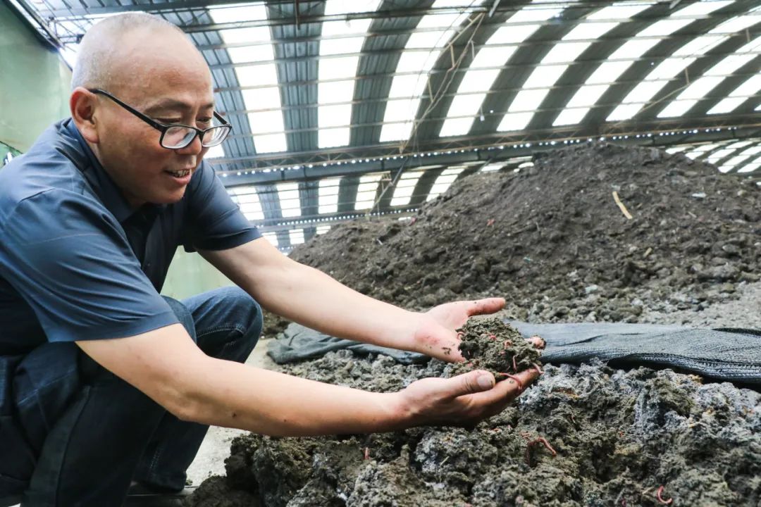 园林垃圾怎么变成肥料,园林绿化垃圾与花卉绿植