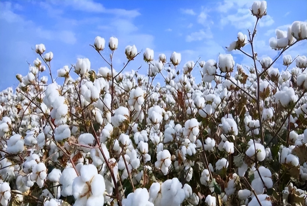 耐克近期怎么了,耐克最新现状消息
