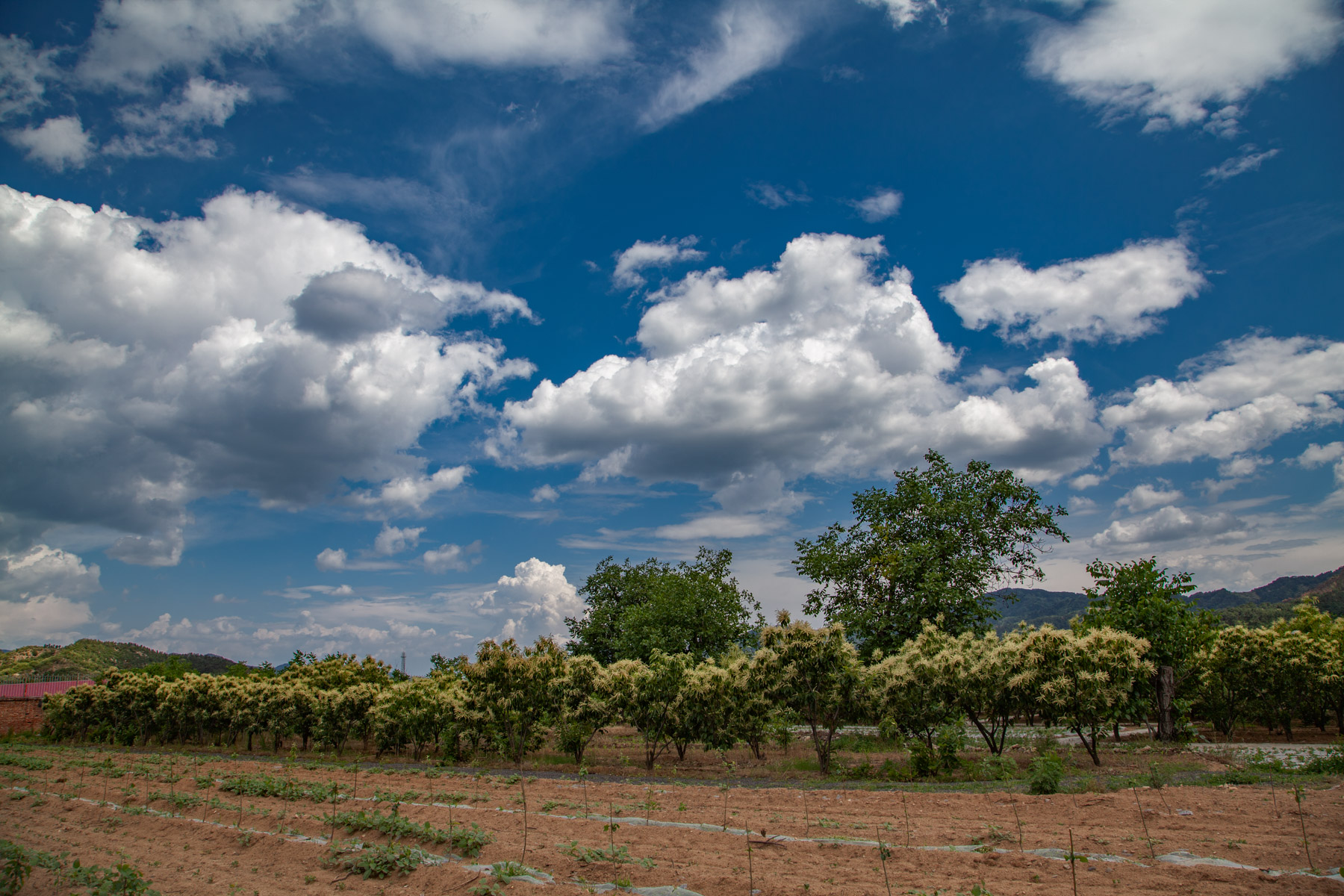 什么是raw格式和jpg格式,什么是raw格式拍摄