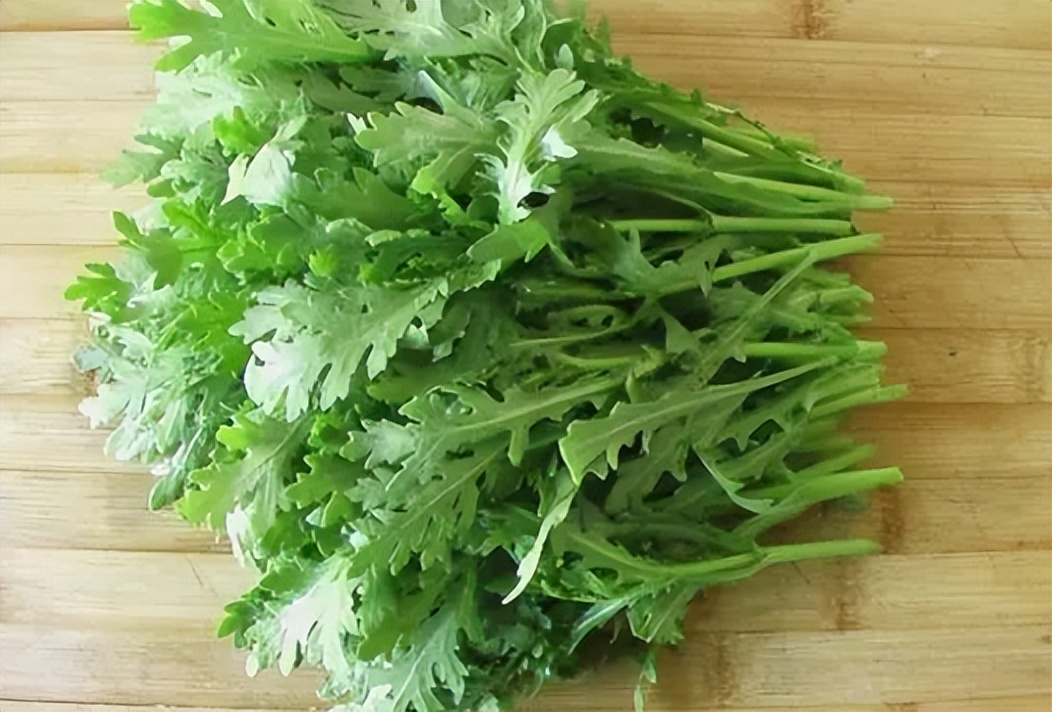 8月种菜大全,8月份种菜几月收获