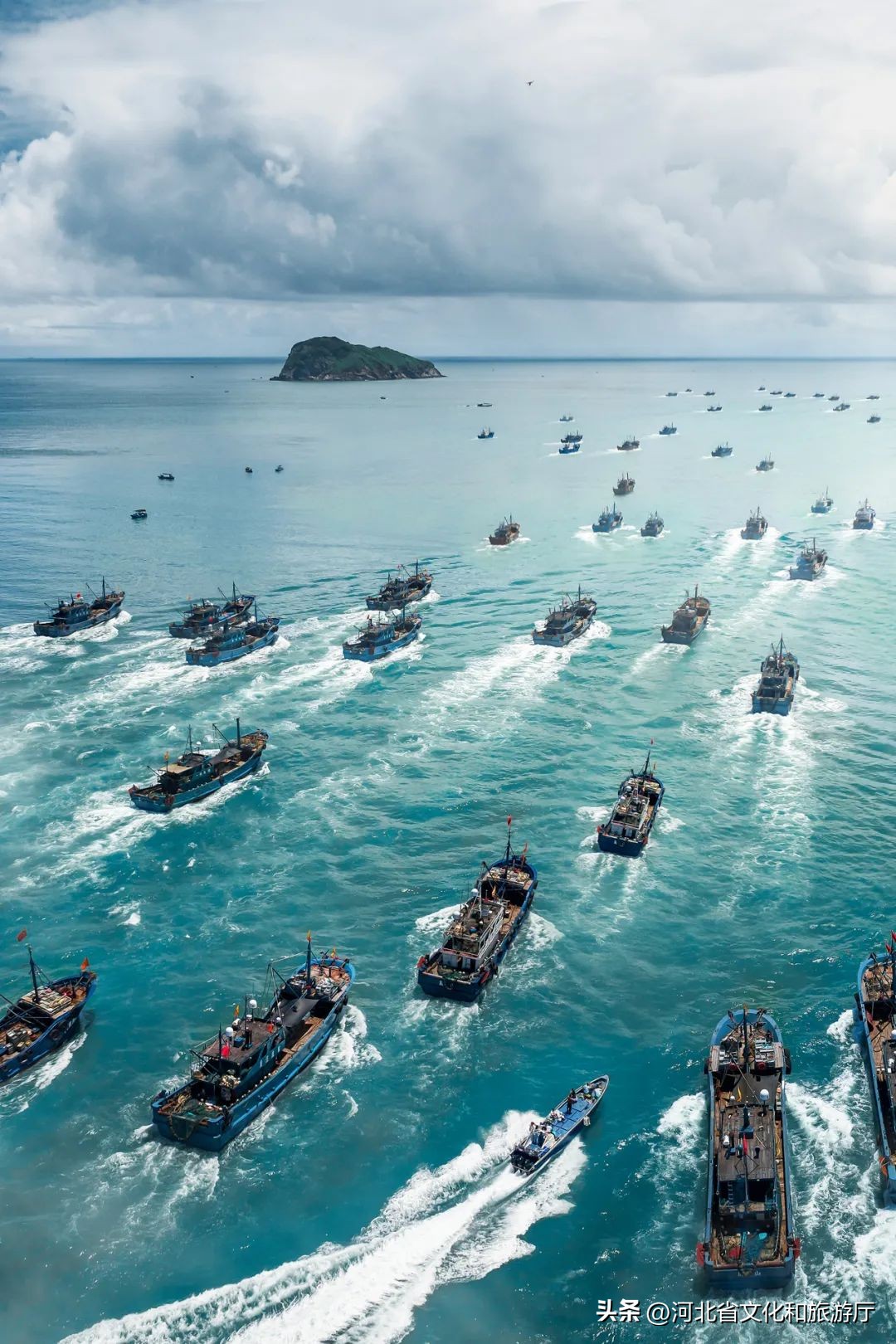 现在海鲜哪种最好吃,现在的海鲜哪个最好吃