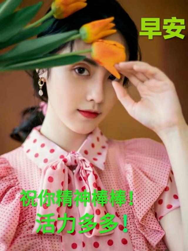 朋友关心问候语暖心感动的句子,问候祝福朋友开心快乐的温馨句子