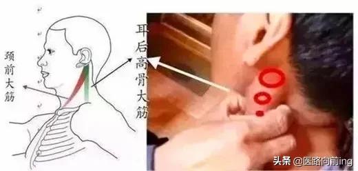 耳鸣耳聋小妙招帮你渡过难关,老年人怎么预防耳聋耳鸣