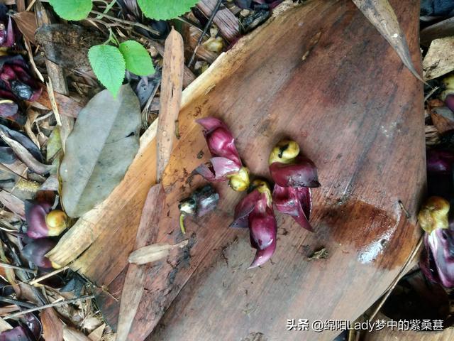 关于福报的诗句,福报耗尽的8大征兆