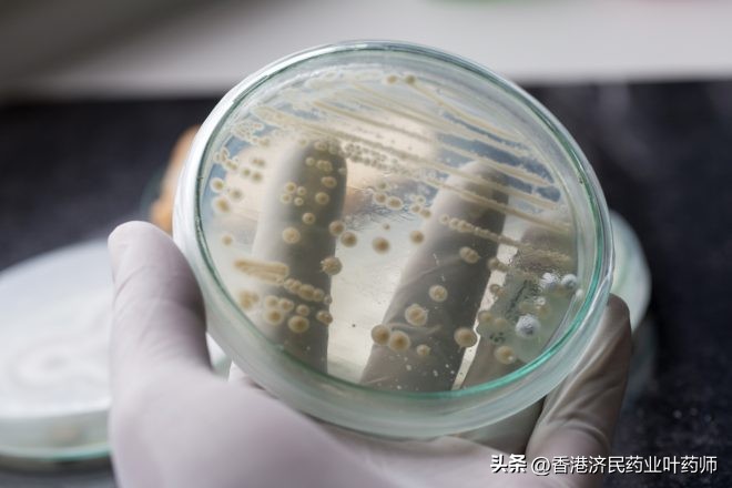 外阴念珠菌感染能自愈吗,外阴念珠菌病怎么防止复发