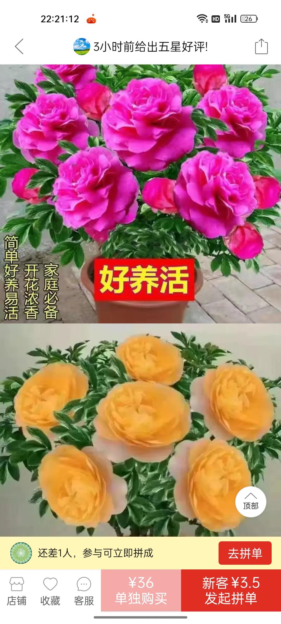 网上卖假花靠谱吗,花卉市场骗人的套路