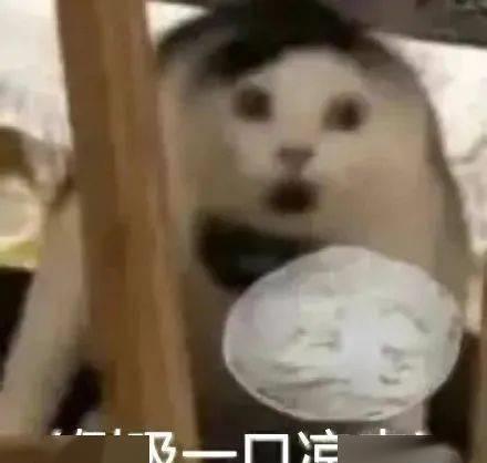 花了1000块钱拍艺术照,花了900元拍的照片