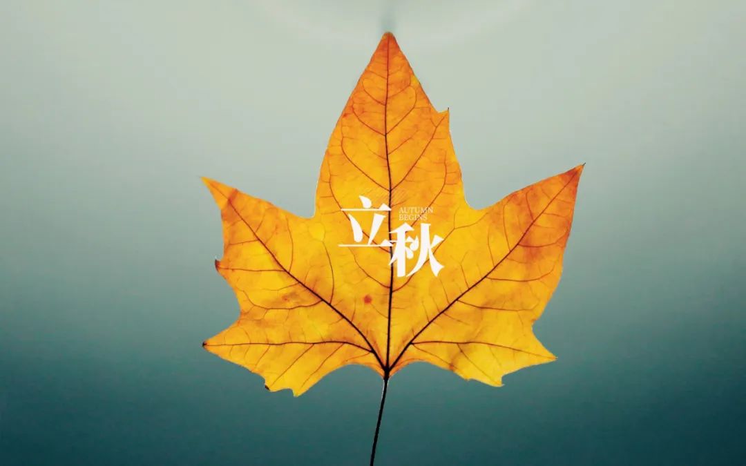 立秋的经典诗词,立秋最好的十首诗词