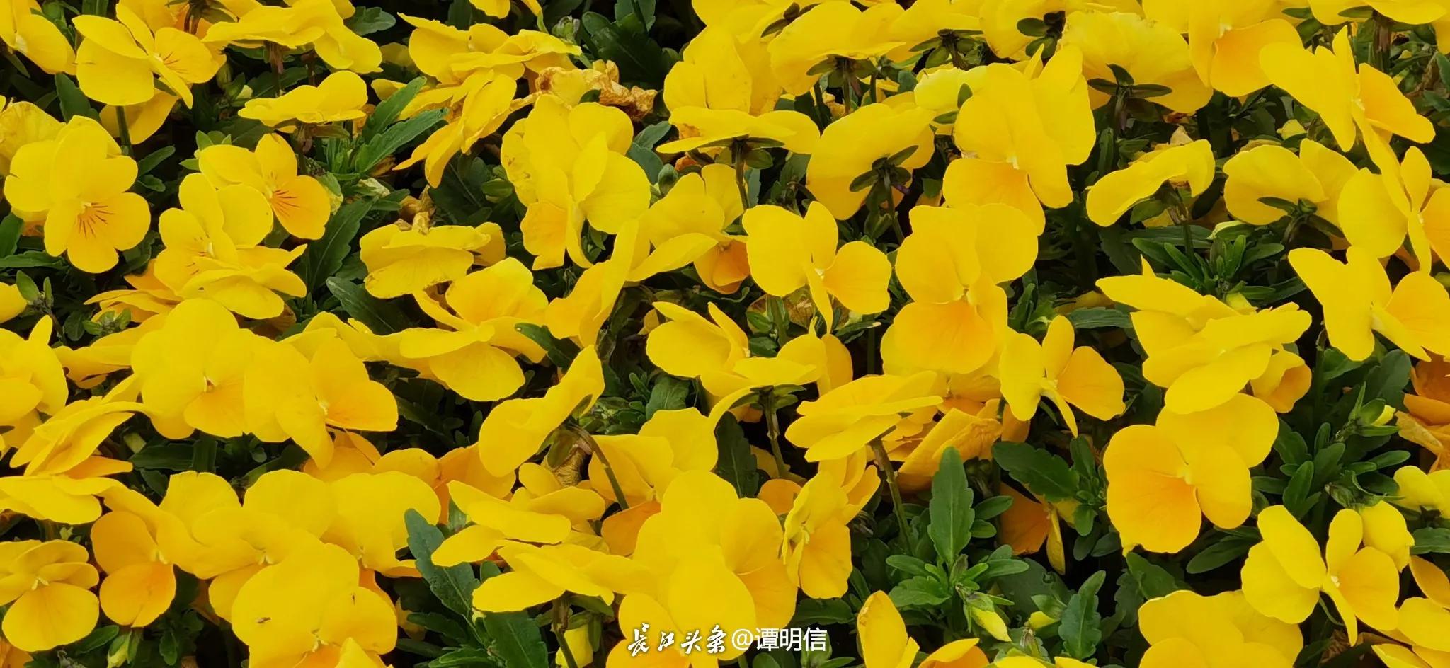 精明女人理财之道,女人的理财