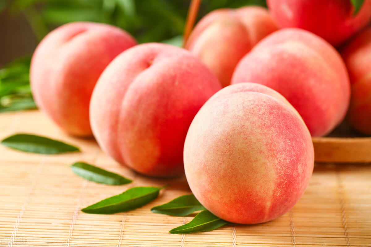 十大养肠胃食物平时要多吃,哪些食物对肠胃有帮助