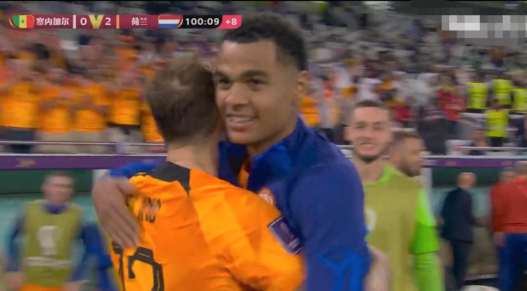 世界杯a组荷兰1-1厄瓜多尔,世界杯荷兰对厄瓜多尔