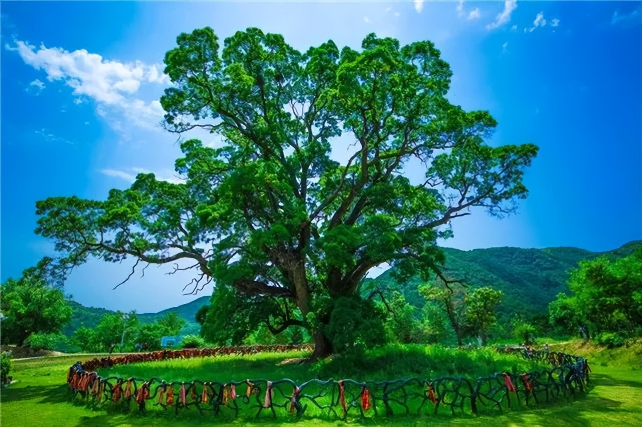 大美崇信，诚信之城欢迎您！