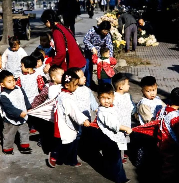 50年代的人成长经历,五十年代生人成长史