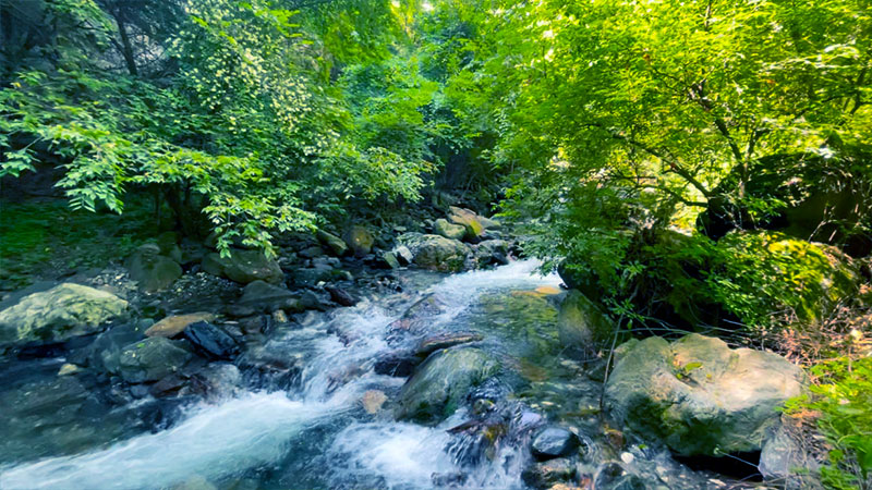 西安夏季避暑一日游好去处免费,暑期西安周边旅游避暑好去处推荐