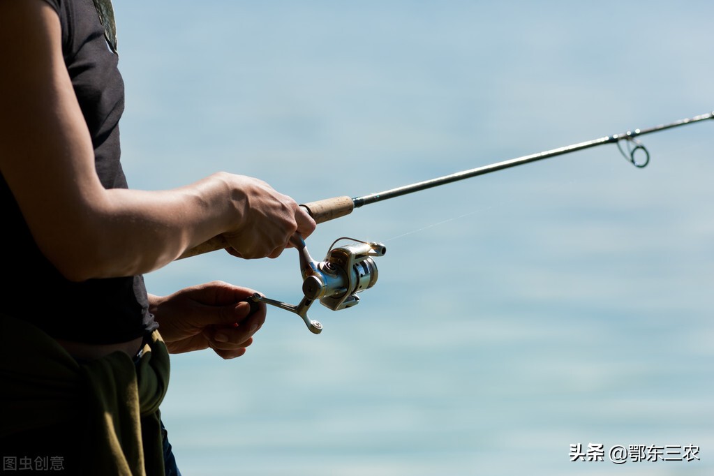鱼塘里的鱼为什么钓不上来不开口,鱼塘的草鱼怎么钓不到