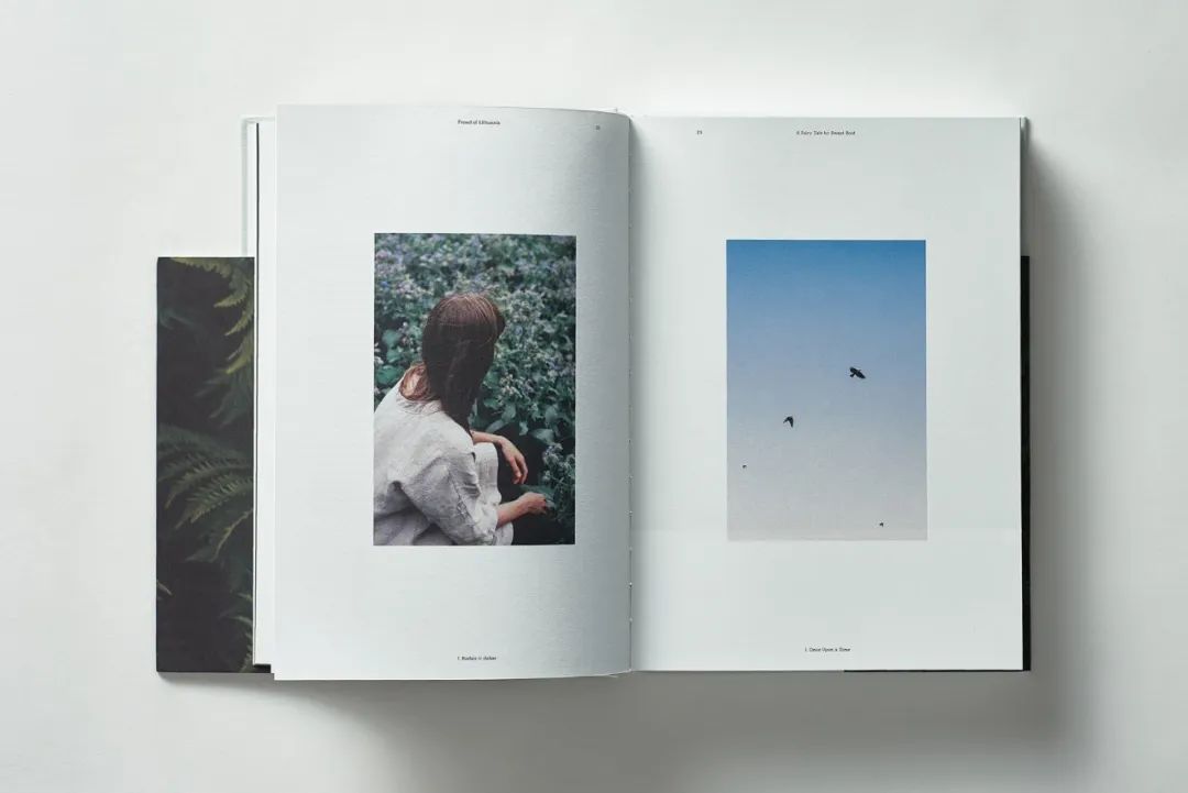 鐢诲唽鍥剧墖鎺掔増鍒涙剰,鏋佺畝鐢诲唽璁捐鎺掔増