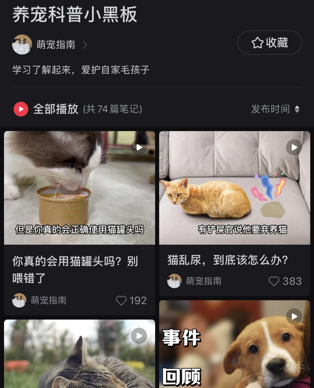 小红书萌宠博主怎么引流,小红书宠物博主5万一个月变现