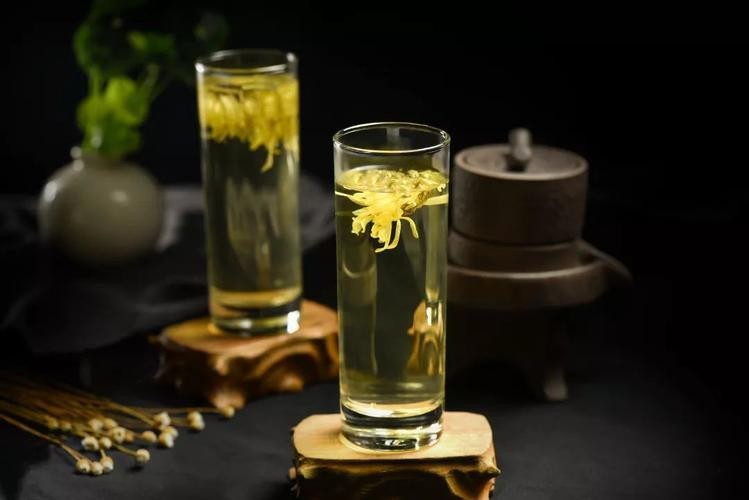 哪几种菊花茶的口感比较棒,有没有好一点的菊花茶推荐