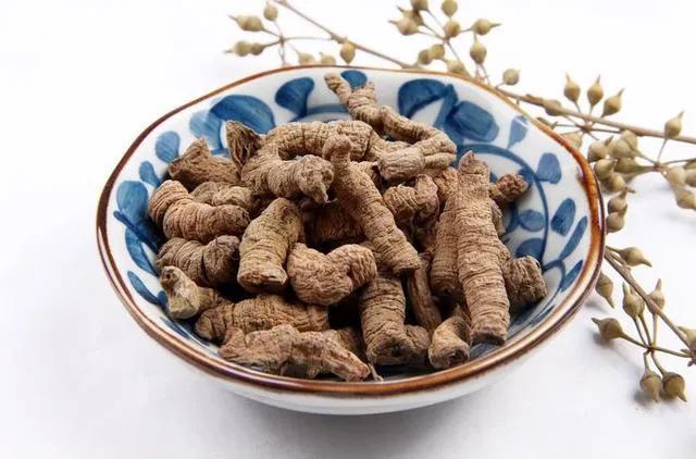 引火汤可治虚火实火,引火汤可以滋阴潜阳吗