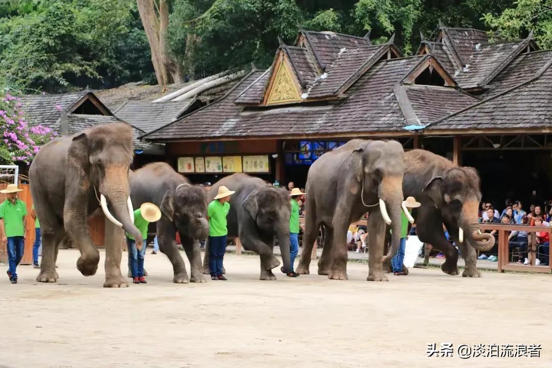 得闲去散散步,散步去云南