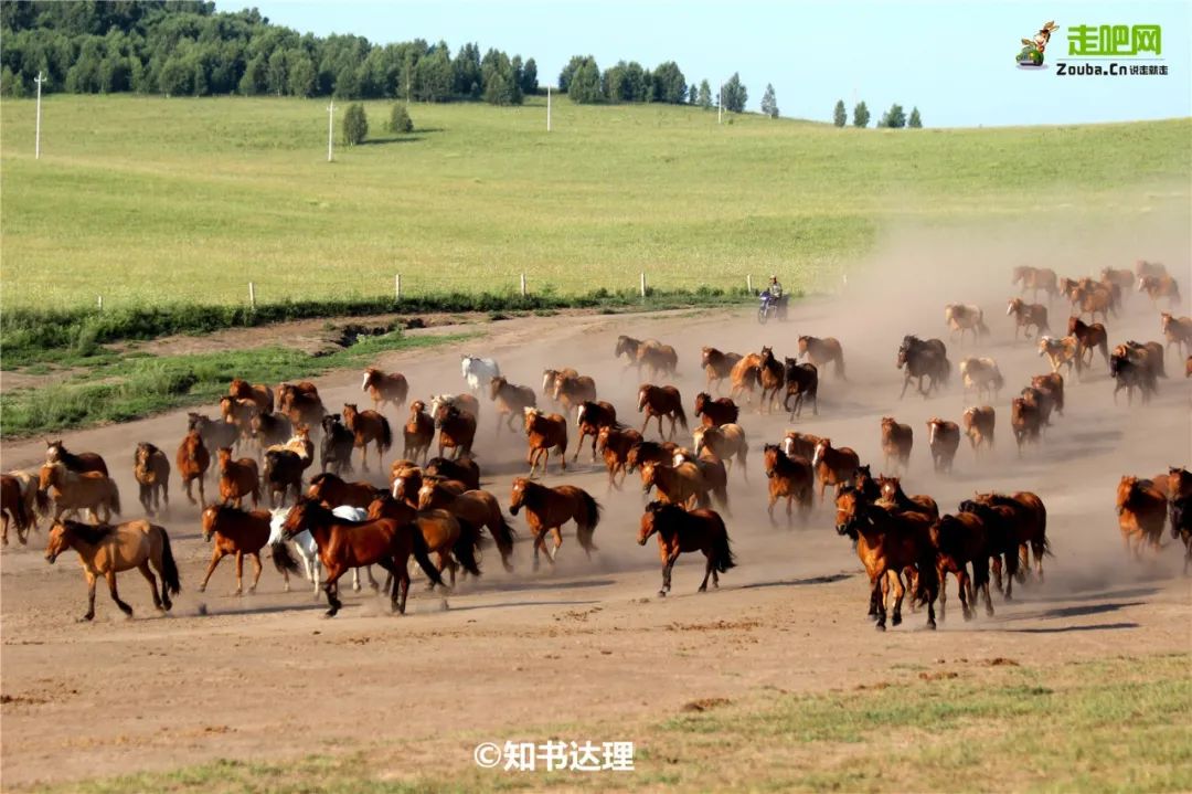 离北京最近的草原避暑胜地,华北夏季避暑好去处