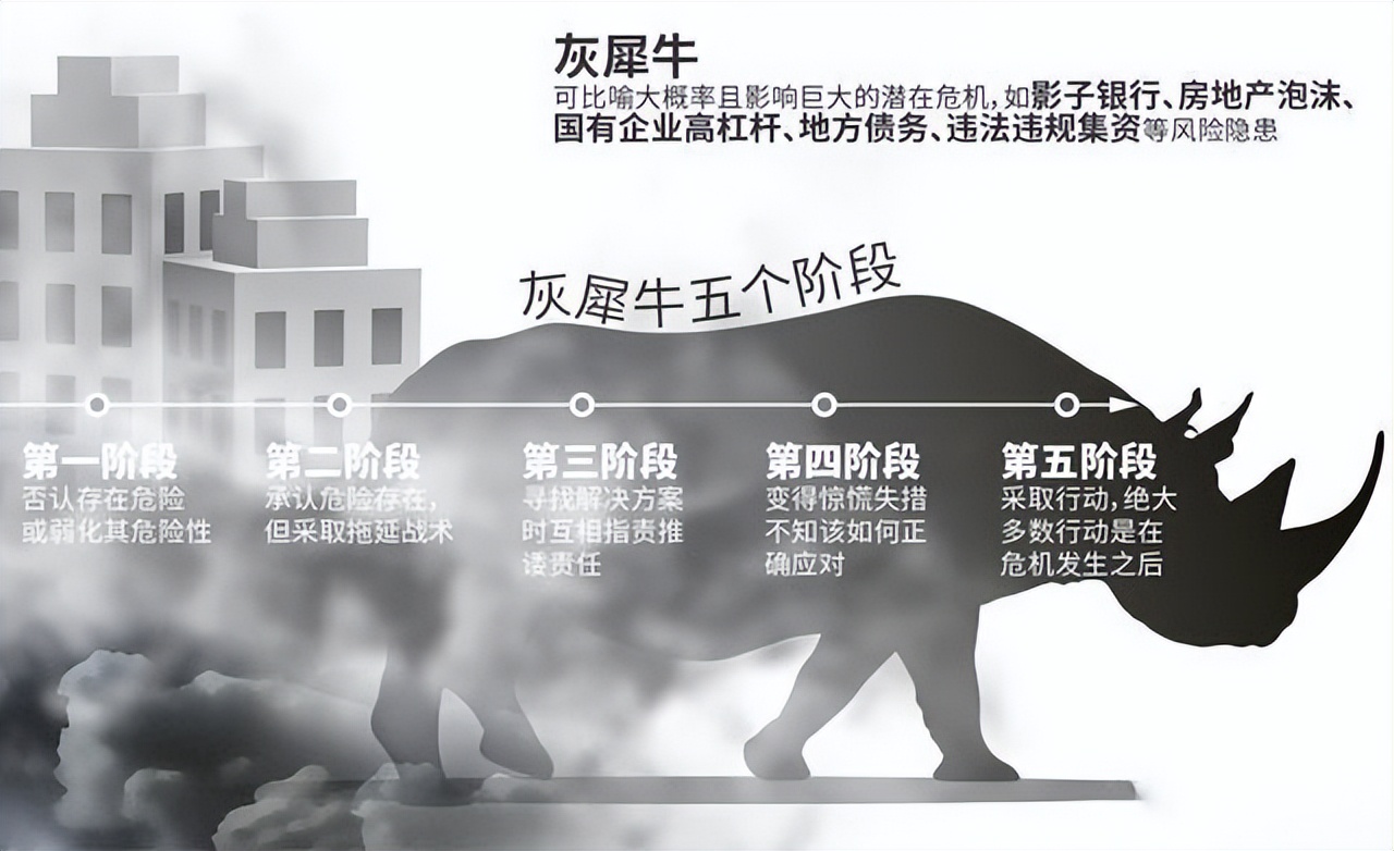 灰犀牛经济现象,中国经济灰犀牛