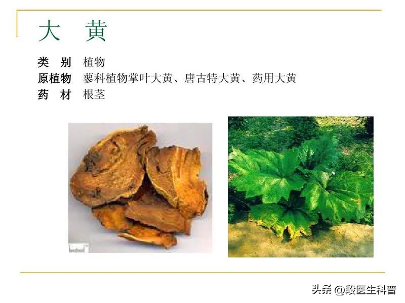 中医辨证论治太阴腹痛证,脉痛的治疗方法