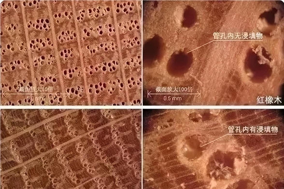 红橡木和白橡木与橡胶木区别,红橡木橡胶木和橡木的区别