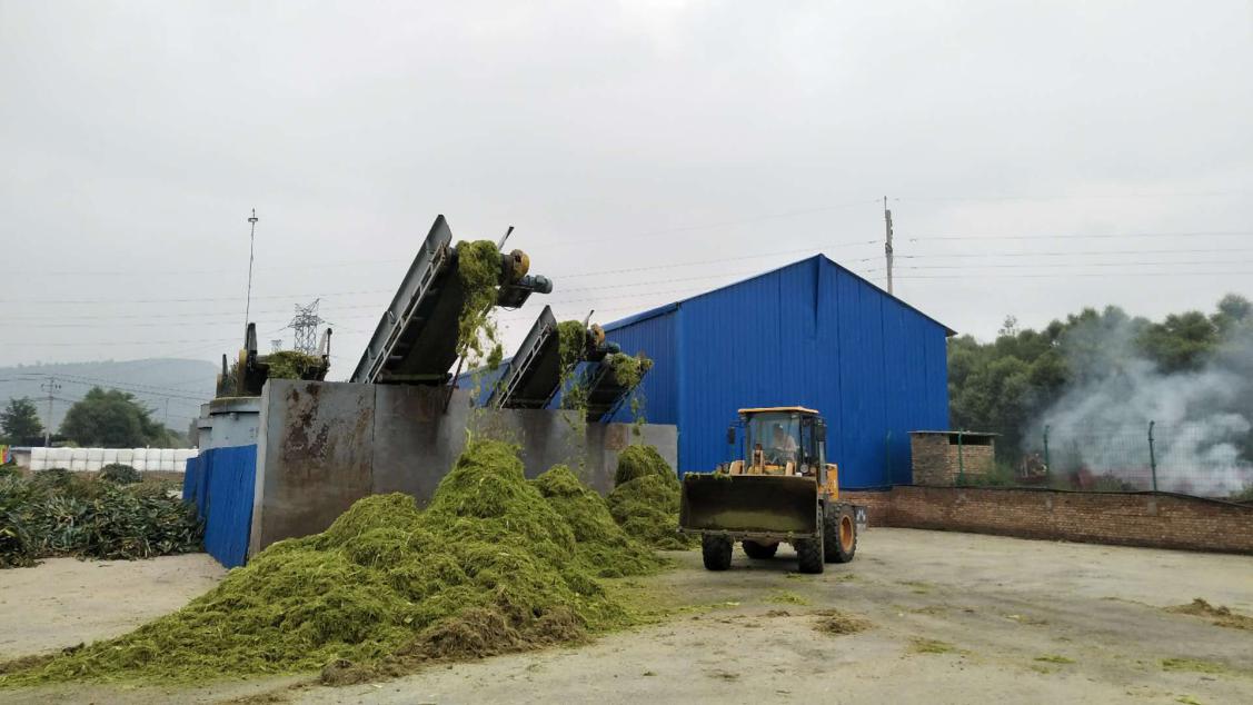 一台收割机9小时收割小麦45公顷,最新款玉米收割机青储收割视频