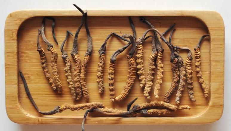 这几种保健品不值得买,拒绝忽悠别被劣质保健品套路了