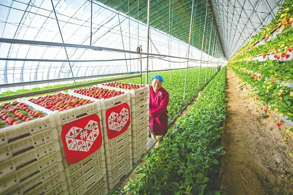 上海第一大民企万科,上海第一大民营企业