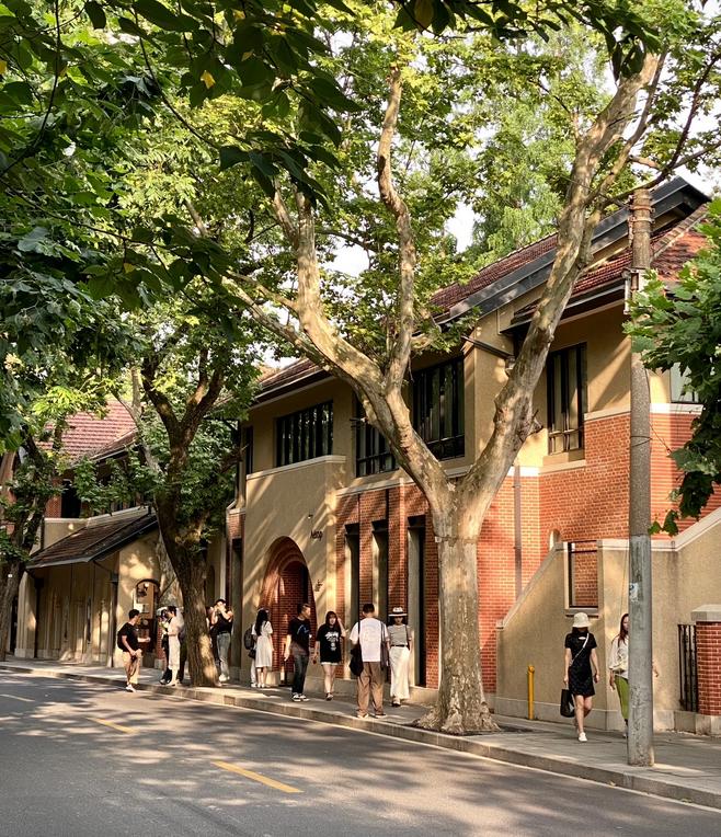 去完上海旅游后的感受,独自一人去上海旅游的感受