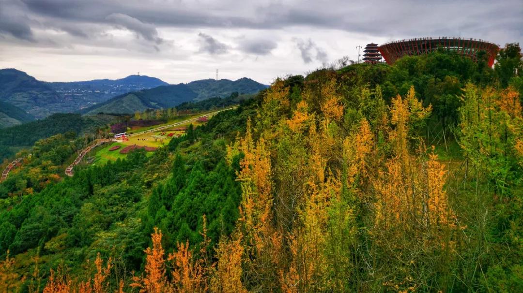 成都五一出游的宝藏路线,成都周边的宝藏打卡地