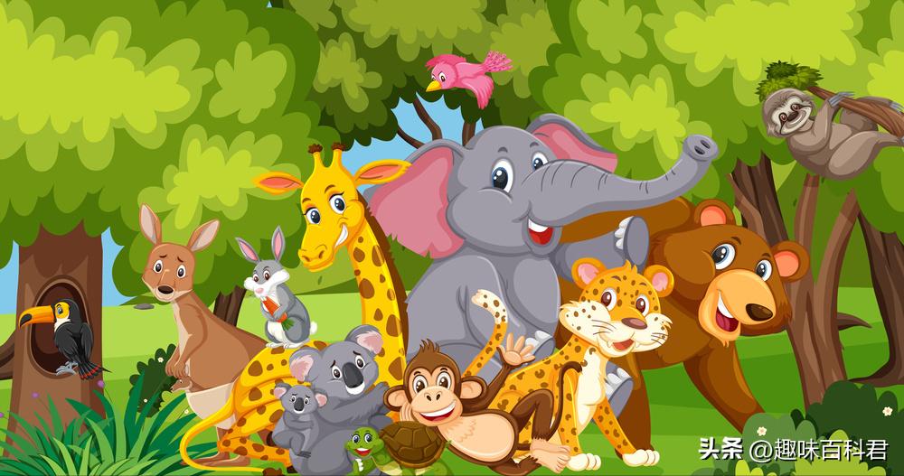 脑筋急转弯大全及答案爆离谱版,脑筋急转弯大全及答案和解释