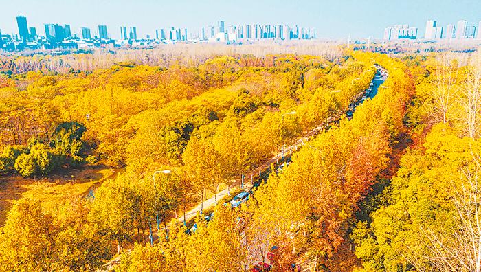 安徽省合肥市旅游景点路径图,合肥市好玩的旅游景点