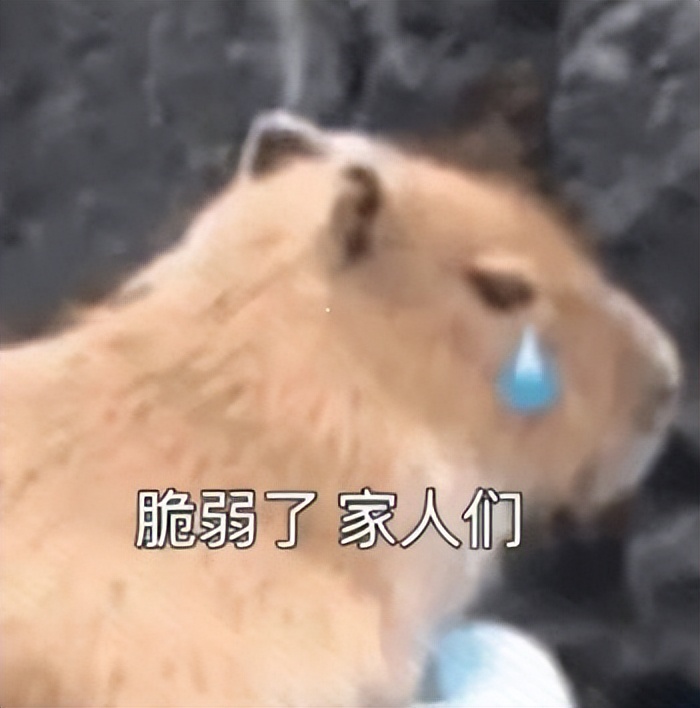 开学宿舍好物推荐初中,学生宿舍选什么插座好