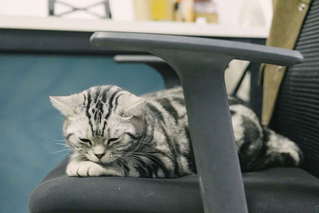 京东总裁患绝症,京东绝症高管