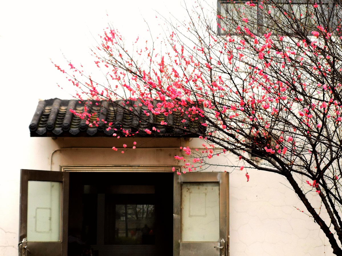 姥姥不疼舅舅不爱的心情,姥姥不疼舅舅不爱小舅子完整视频