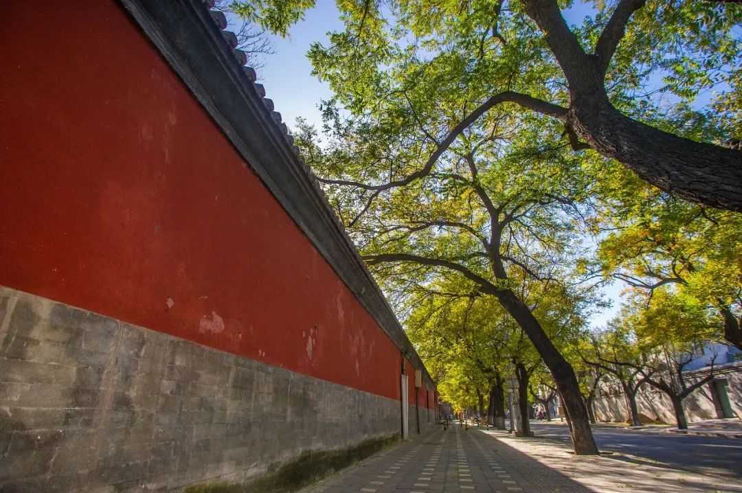 北京过亿的四合院,北京最好的四合院值多少钱