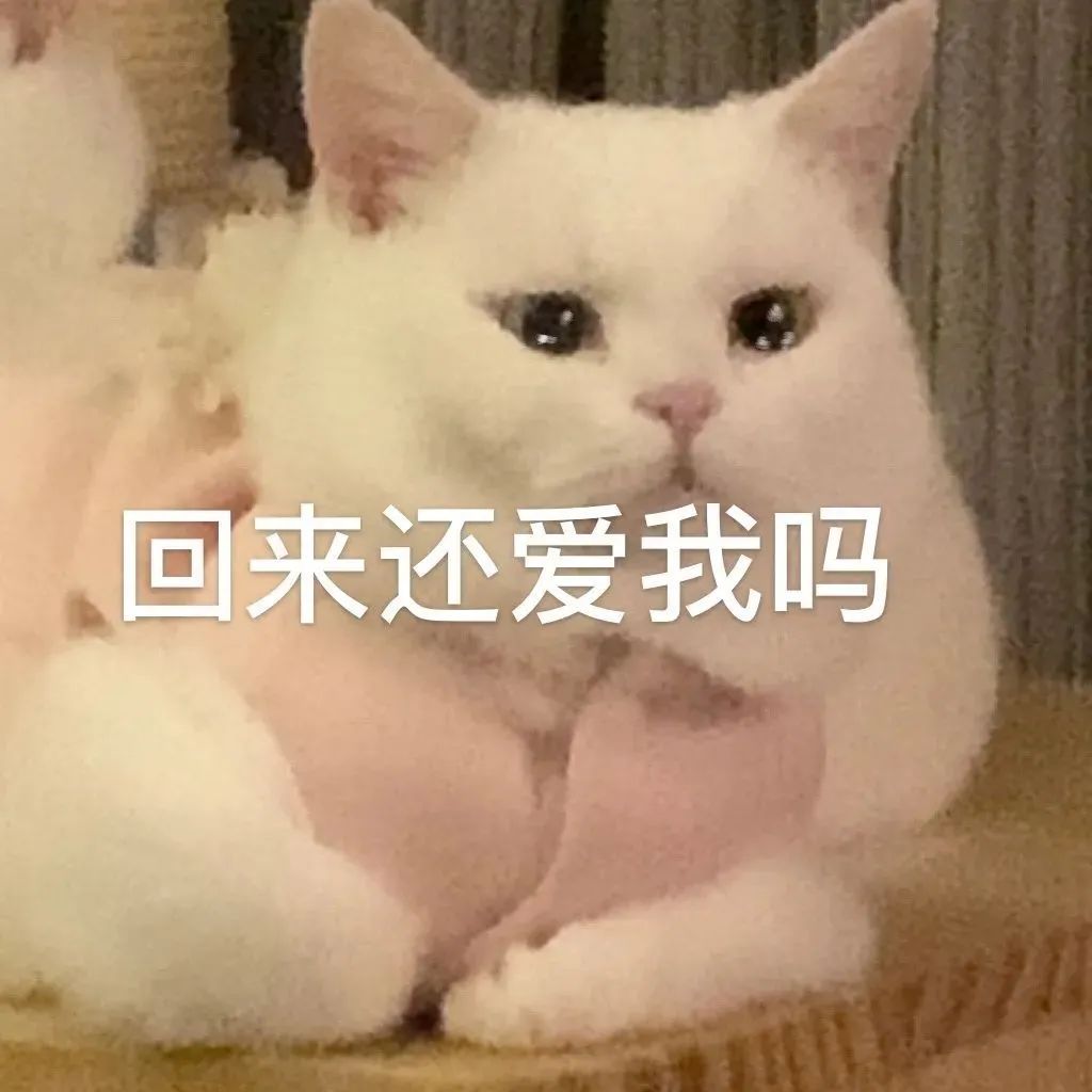 我要打游戏了等一会再聊表情包,不要打扰老子打游戏的表情包