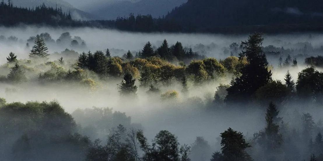中国传统文化传承怎么称呼,亲近传统文化的命名方式