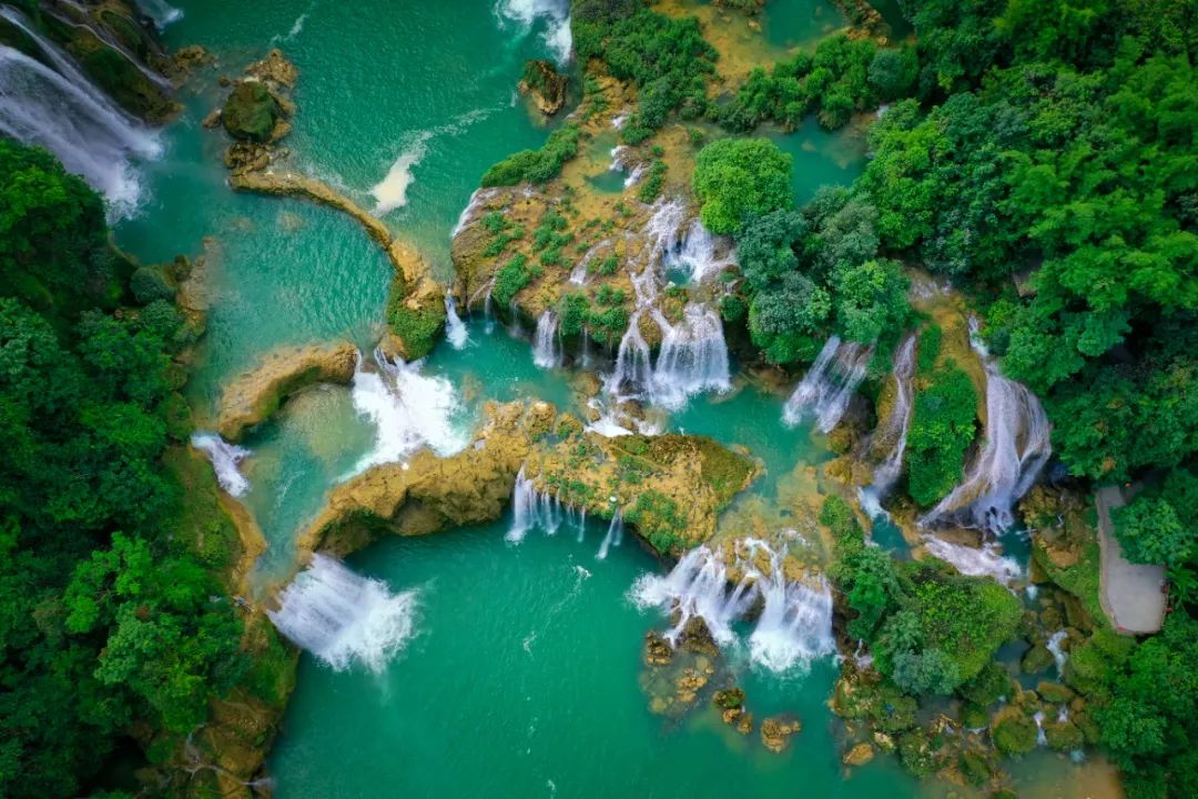 盘点那些过气网红的现状,2020年已经过气的网红