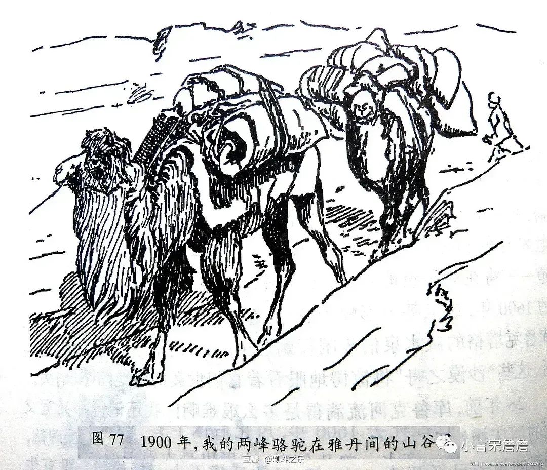 绌胯秺鏃犱汉鍖烘梾琛屽,绌胯秺鏃犱汉鍖烘帰闄╁